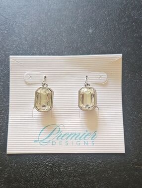Premier Designs Showtime Earrings